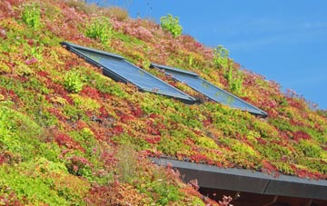 Stelvio living roof systems
